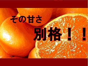おいしいみかん  10 FACTORY】ネットショップ / こだわりみかんジュース3種飲み